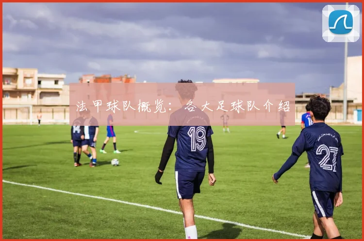 法甲球队概览：各大足球队介绍