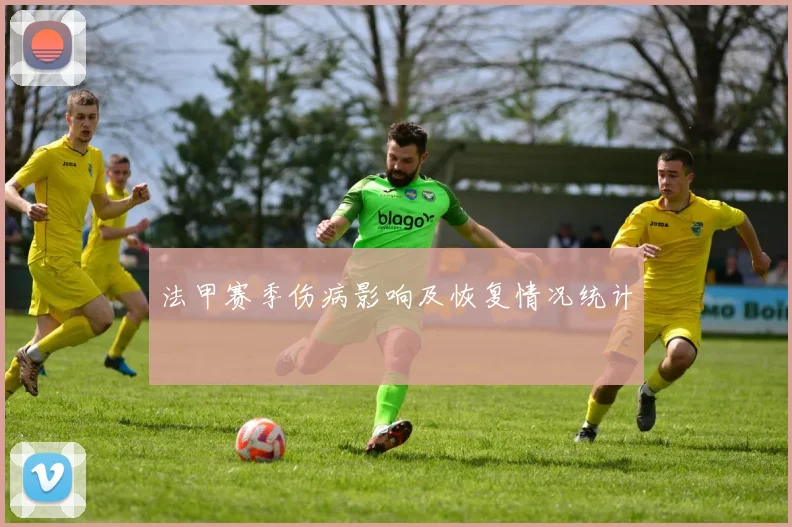法甲赛季伤病影响及恢复情况统计