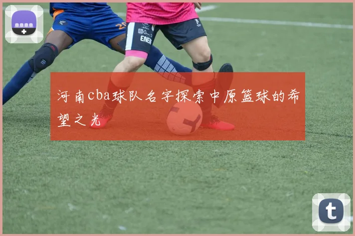 河南cba球队名字探索中原篮球的希望之光