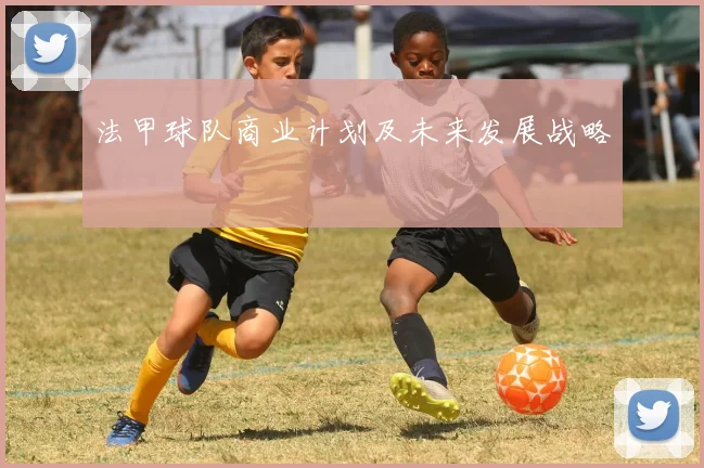 法甲球队商业计划及未来发展战略