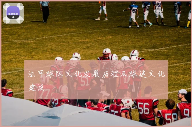 法甲球队文化发展历程及球迷文化建设